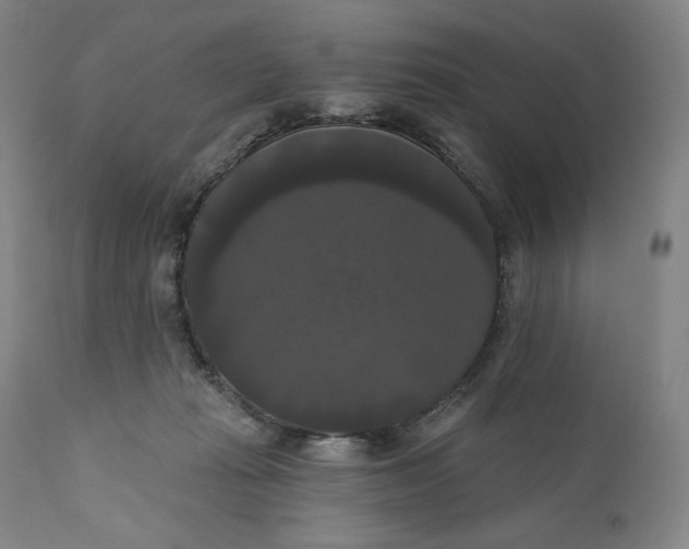 X0000111020269200907101347