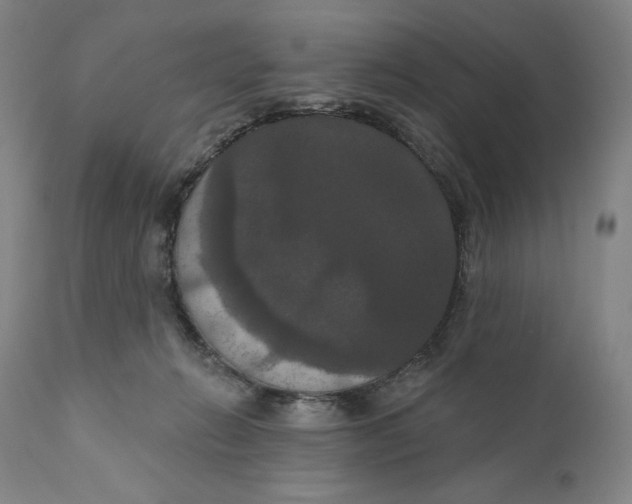 X0000111020270200907101347