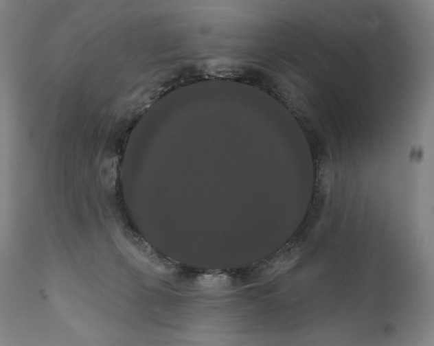 X0000111020271200907101347