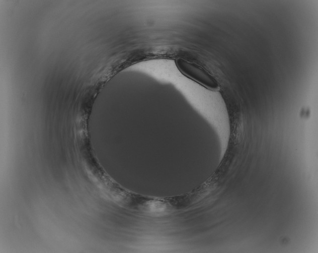 X0000111020272200907101347