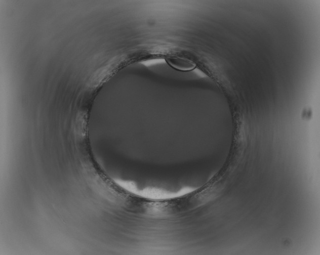 X0000111020273200907101347