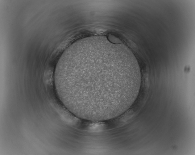 X0000111020274200907101347