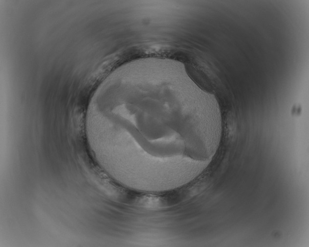 X0000111020276200907101347