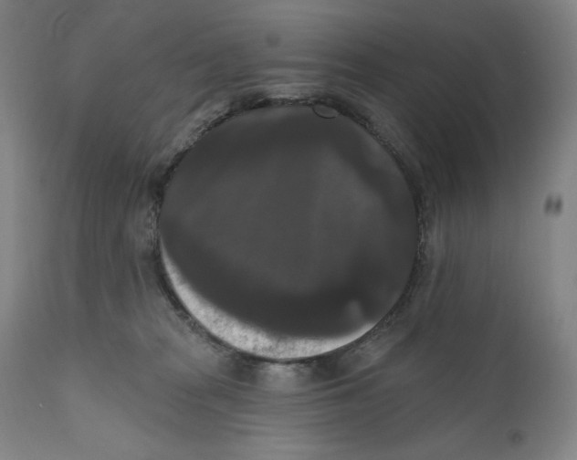 X0000111020277200907101347