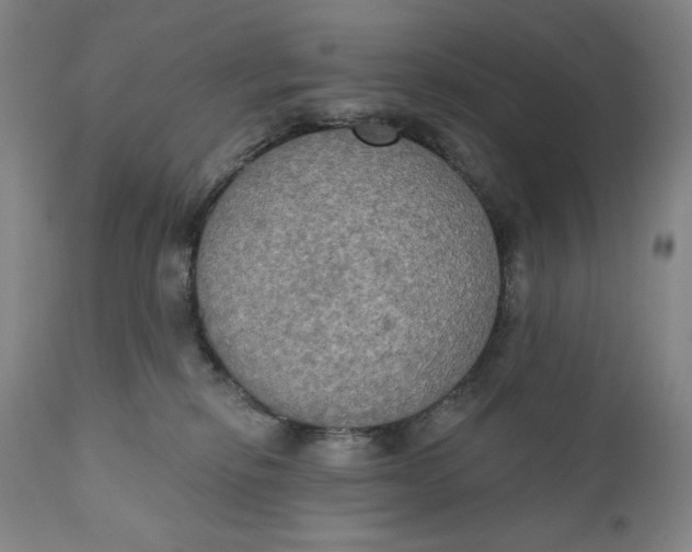 X0000111020278200907101347