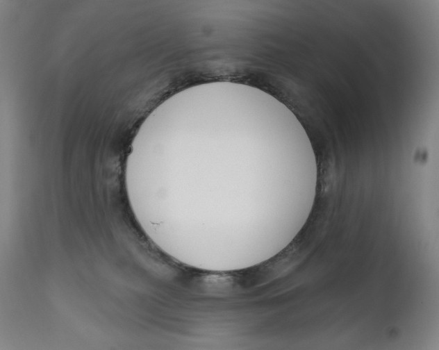 X0000111020279200907101347