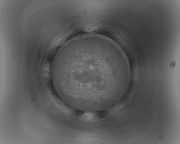 X0000111020280200907101347