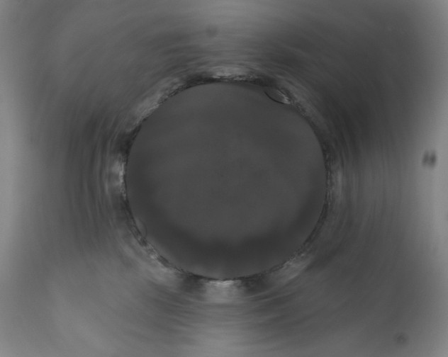 X0000111020281200907101347