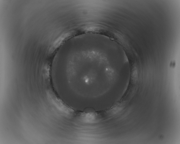X0000111020282200907101347