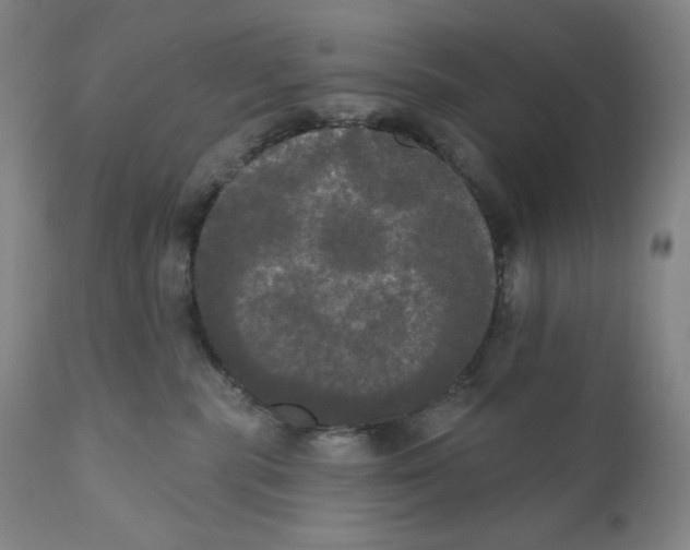 X0000111020283200907101347