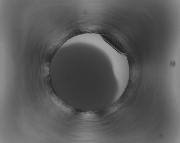 X0000111020284200907101347