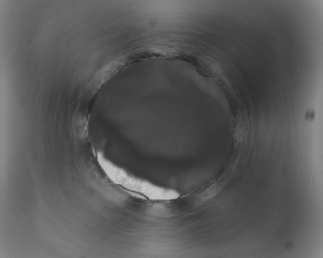 X0000111020285200907101347