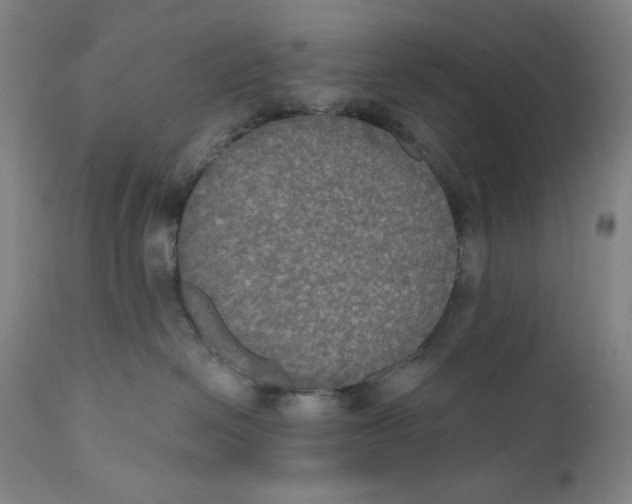 X0000111020286200907101347
