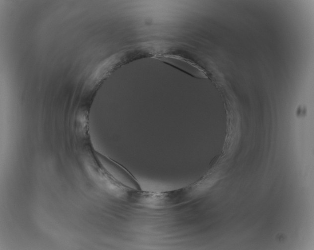 X0000111020288200907101347