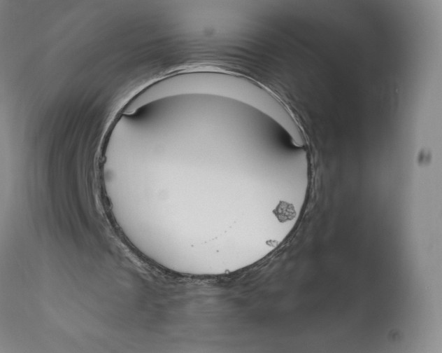 X0000111020289200907101346