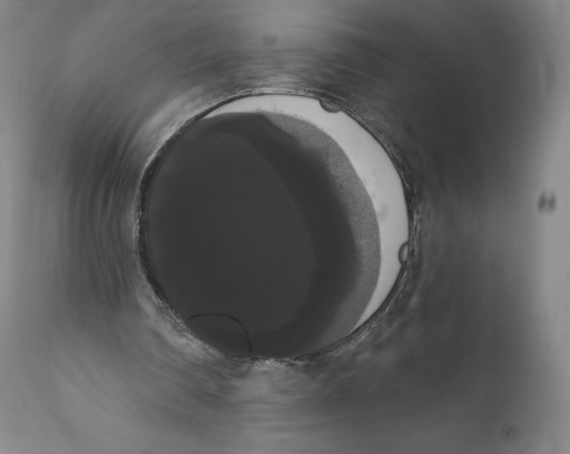 X0000111020290200907101346