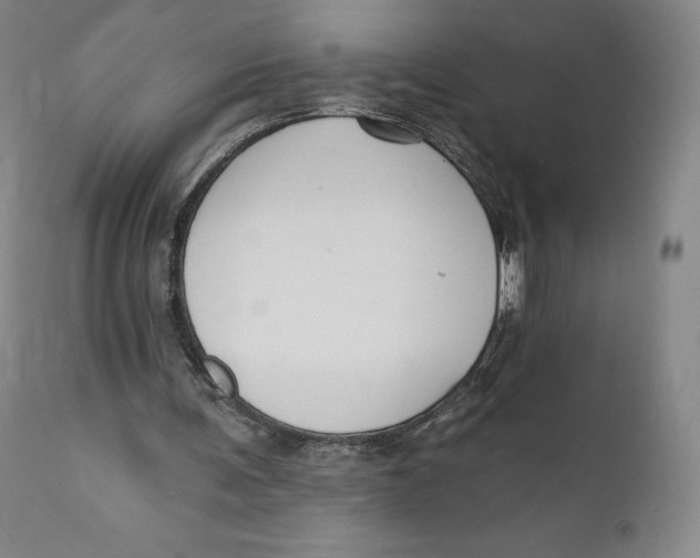 X0000111020291200907101346