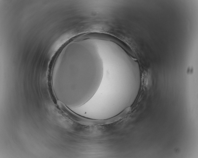 X0000111020292200907101346