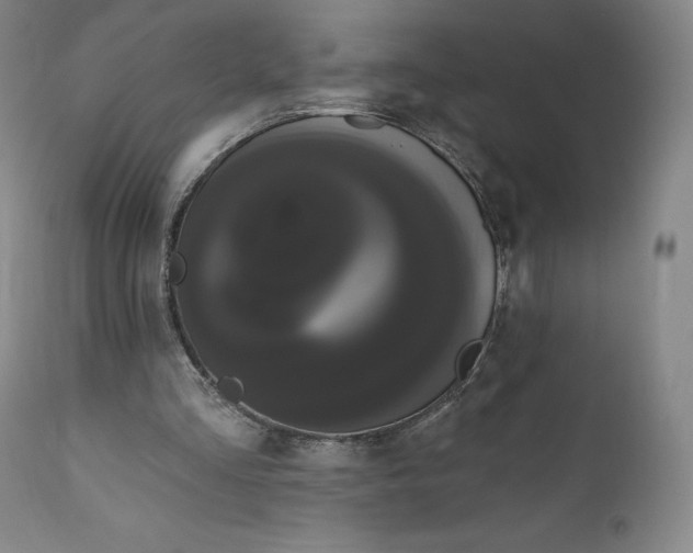 X0000111020293200907101346