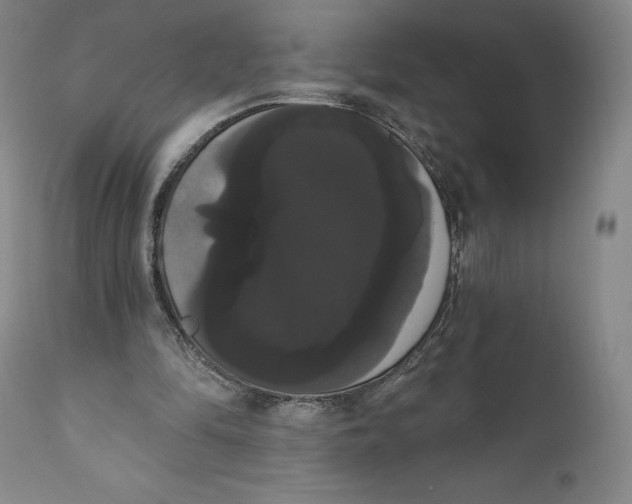 X0000111020294200907101346