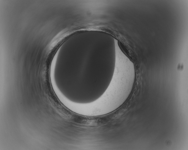X0000111020295200907101346