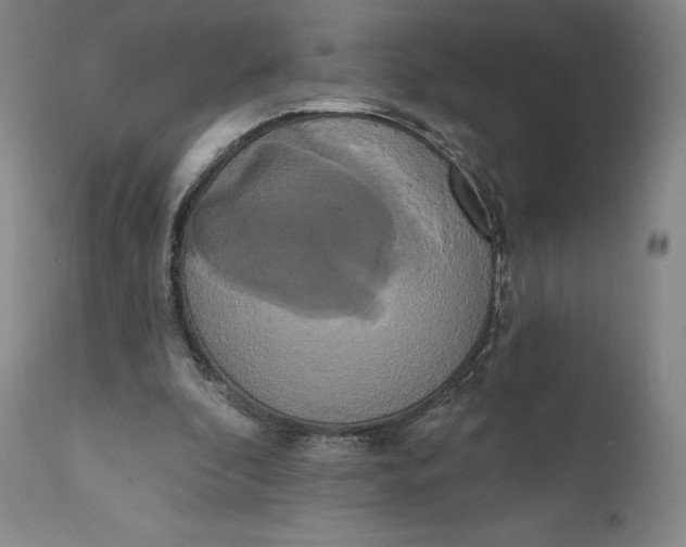 X0000111020296200907101346