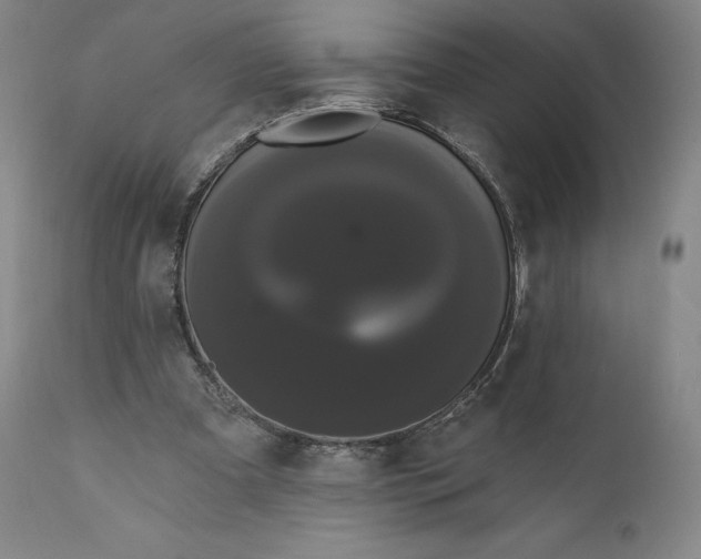 X0000111020297200907101346
