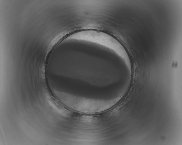 X0000111020298200907101346
