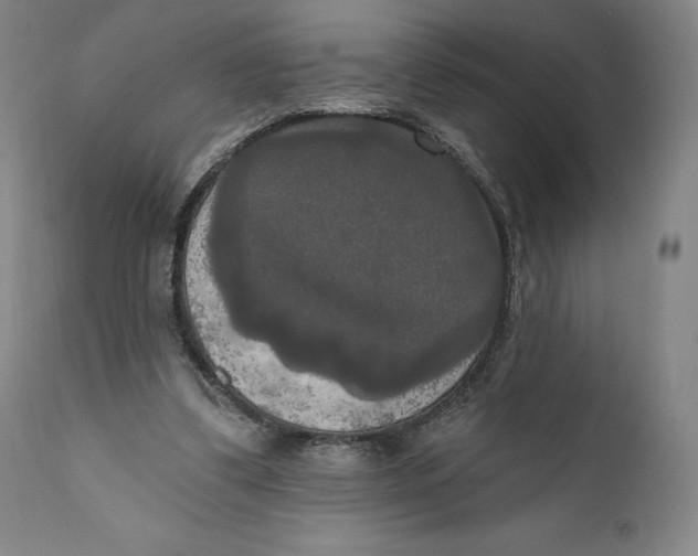 X0000111020299200907101346