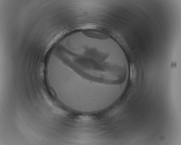 X0000111020300200907101346