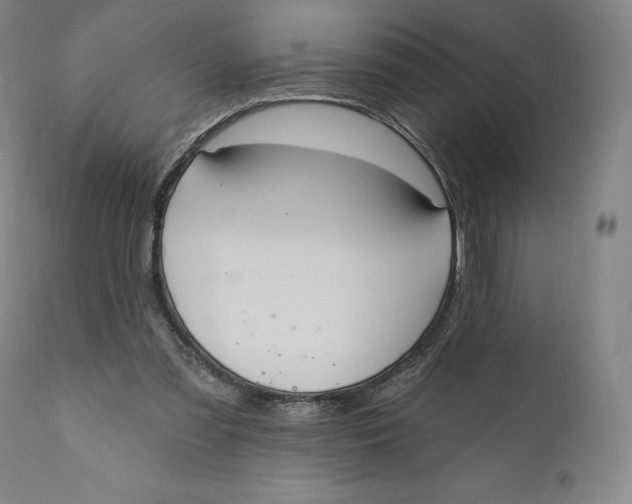 X0000111020301200907101346