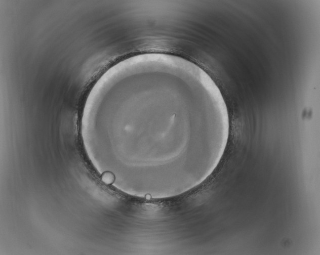 X0000111020302200907101346