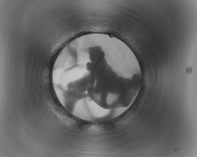 X0000111020303200907101346