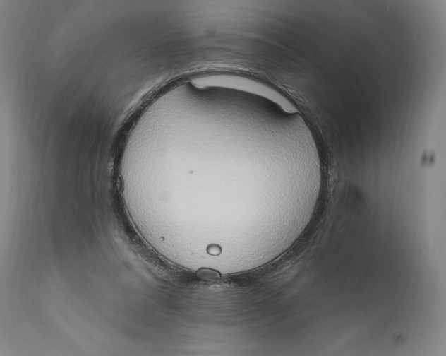 X0000111020304200907101346