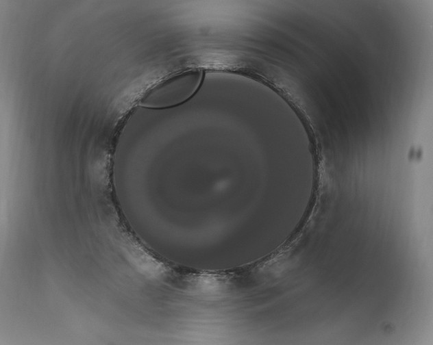 X0000111020305200907101346