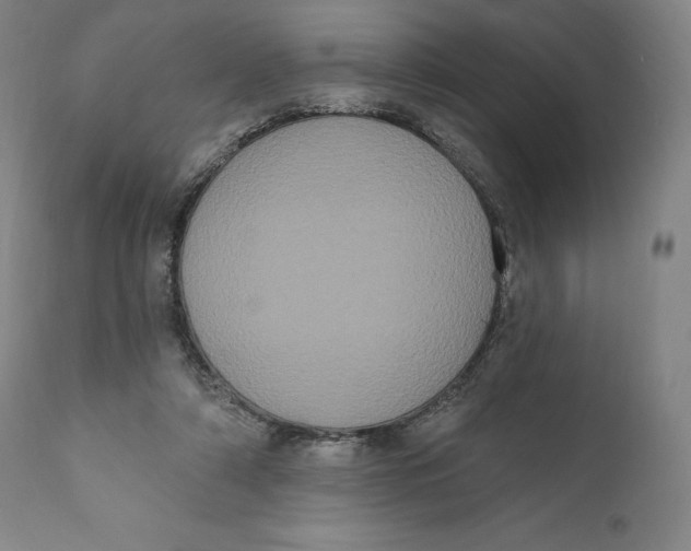 X0000111020306200907101346