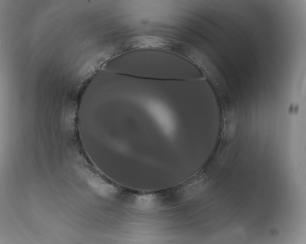 X0000111020309200907101346