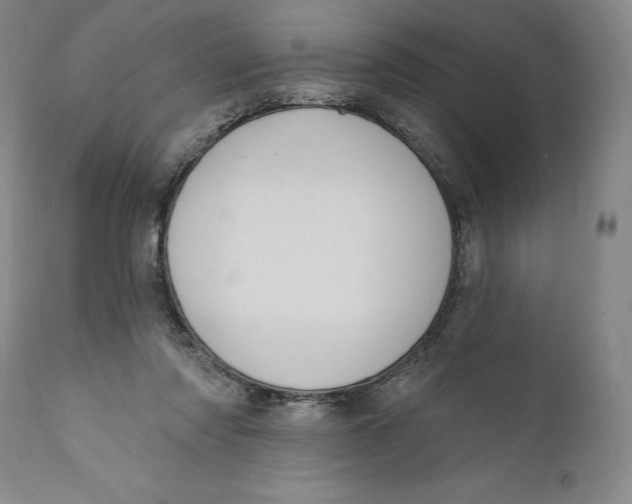 X0000111020310200907101346