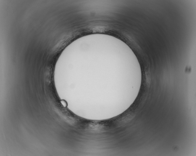 X0000111020311200907101346