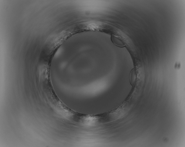 X0000111020313200907101346