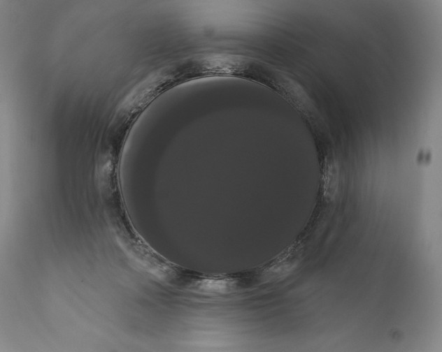 X0000111020314200907101346