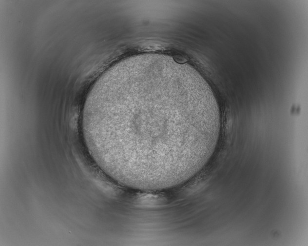 X0000111020315200907101346