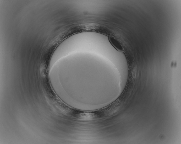 X0000111020316200907101346