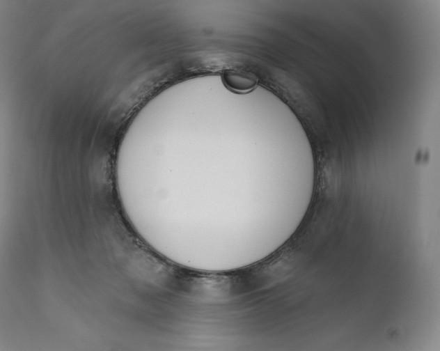 X0000111020317200907101346