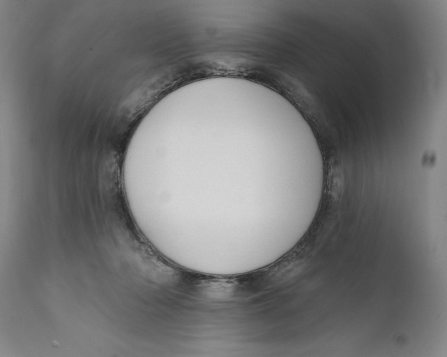 X0000111020318200907101346