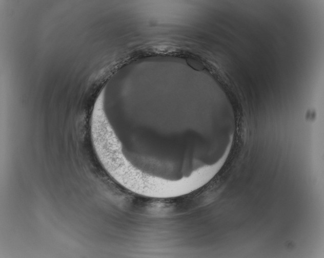 X0000111020319200907101346