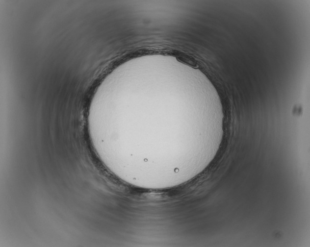 X0000111020320200907101346