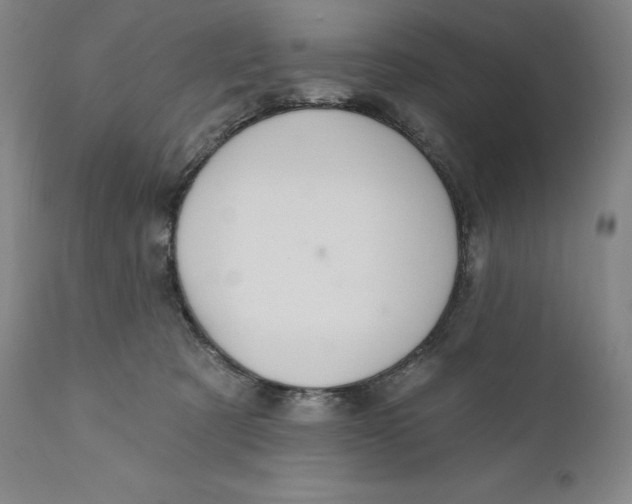 X0000111020321200907101346