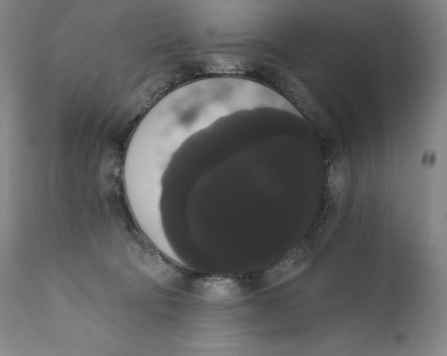 X0000111020322200907101346