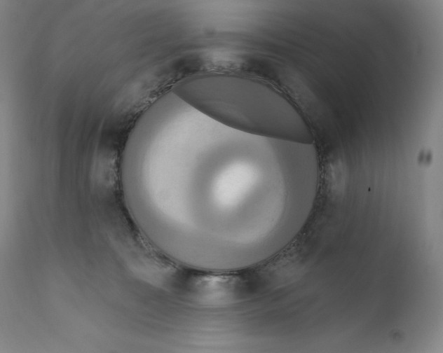 X0000111020323200907101346